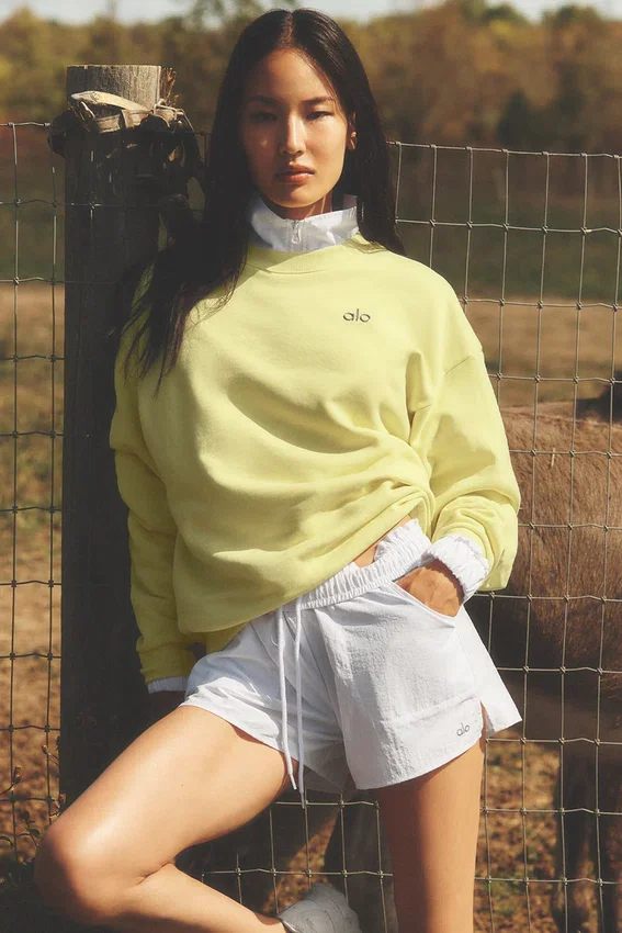 Accolade Crew Neck Pullover - Sunshine