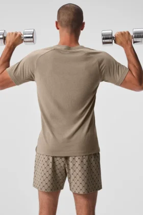 Triumph Raglan Tee – Gravel
